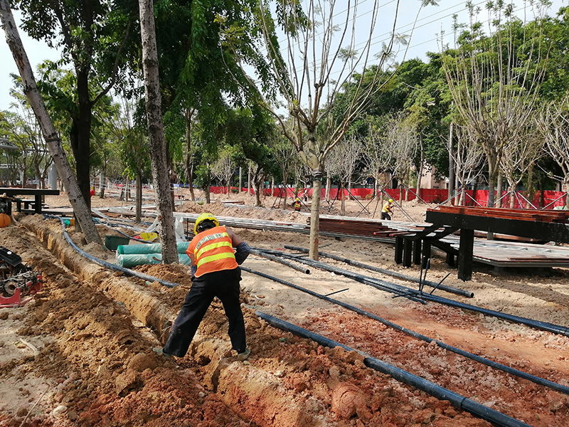 廣東公司園林綠化遷移項目